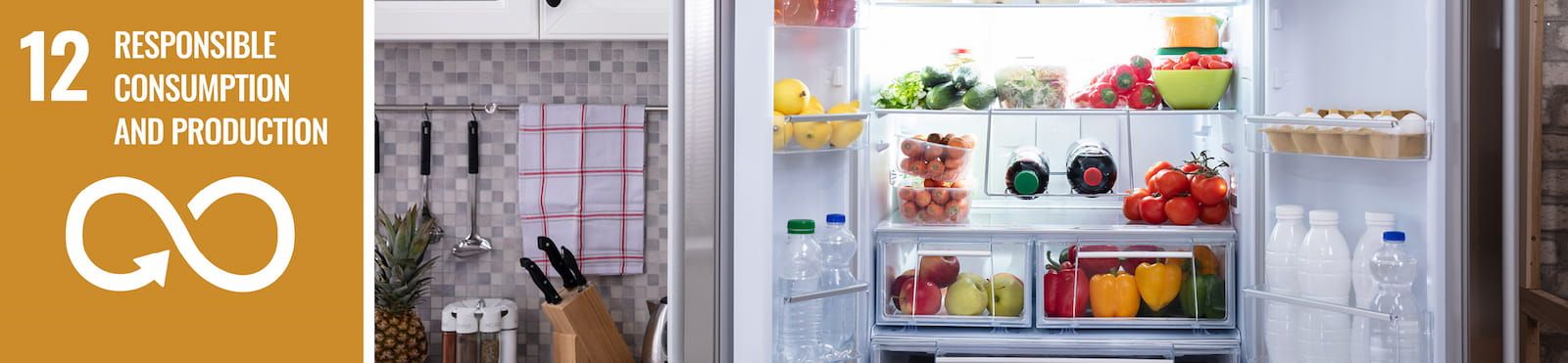 The text, "12: Responsible Consumption and Production" and an image of an open refrigerator holding food on shelves